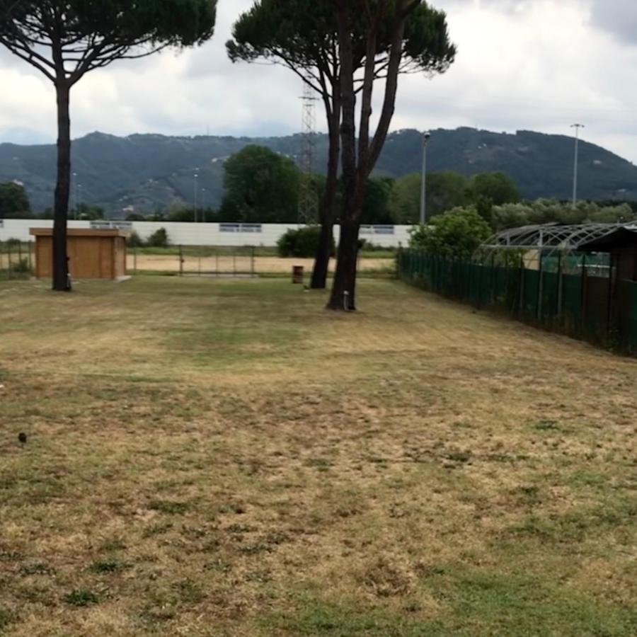 L'Alloggio Del Capitano Viareggio Exterior photo